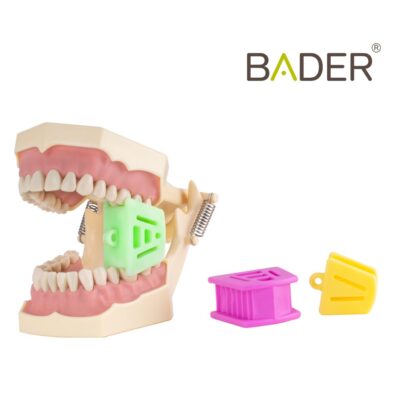 Bader modelos de prótesis dentales personalizadas y accesorios para simulación dental en color rosa y amarillo.