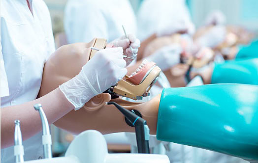 Alta calidad en productos odontológicos personalizados para profesionales dentales en EXAmedic.