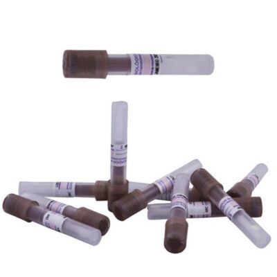 Turbina de sellado personalizada para odontología, ideal para procedimientos dentales precisos y seguros en clínicas y laboratorios odontológicos.