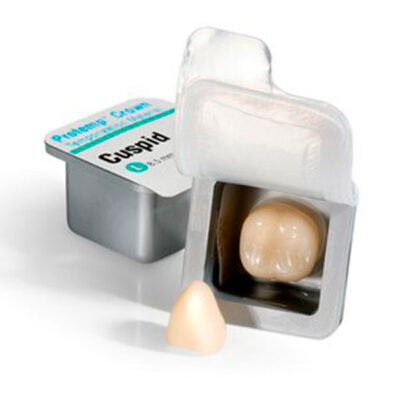 Coronas Protemp Reposición de 5uds. 3M Espe  GRANDES. 5u.