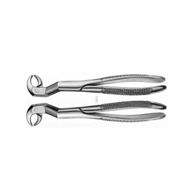 1/2R FORCEPS RAICES