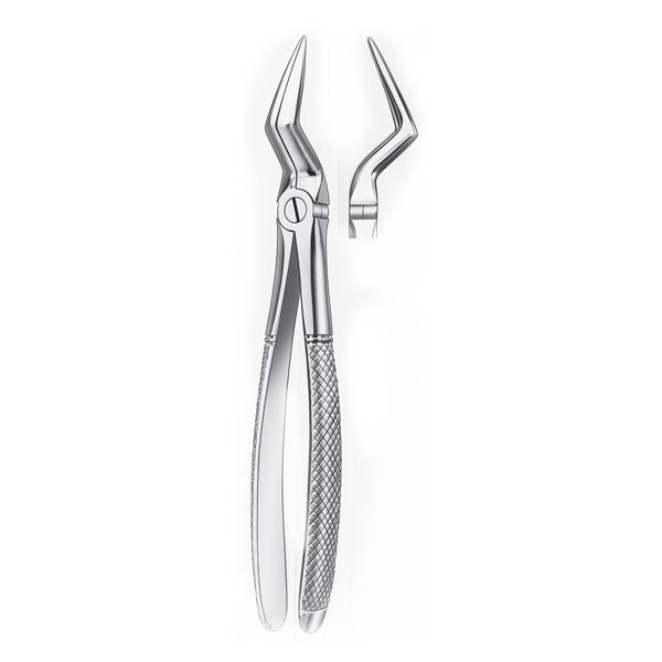 1/2D FORCEPS RAICES SUP. DIAM.