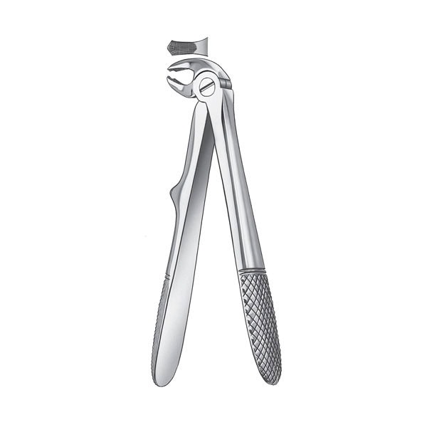 F.KLEIN NIÑO MOLAR.INF