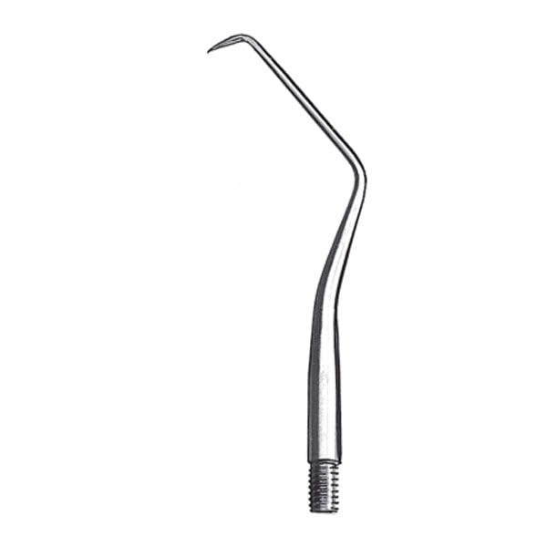 PUNTA EXPLOR.INTERCAMB.