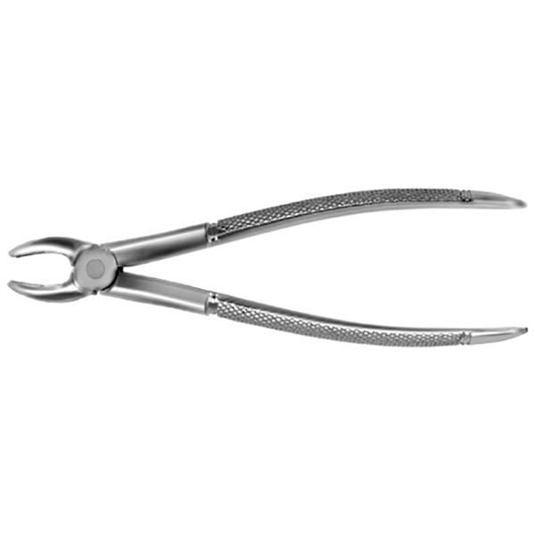 FORCEPS ANTERIOR SUPERIOR