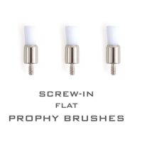 Screw-in brochas de protesis, personalizadas y planas para odontología, adaptadas para restauraciones dentales, alta precisión en el cuidado bucal, disponibles en EXAmedic.