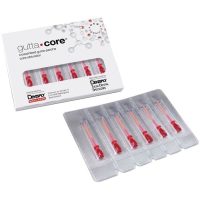 Tenedores de fuga de silicona para restauraciones dentales, productos odontológicos personalizados, conformados para reparaciones precisas, ideal para clínicas dentales y laboratorios odontológicos.