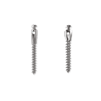 Tornillo dental de titanio para implantes personalizados en odontología, con diseño preciso y duradero para máxima integración ósea.