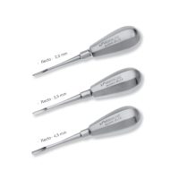 Muestras dentales personalizados de alta precisión para odontología estética y restauradora.