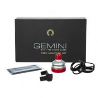 Gemini láser de diodo para odontología, kit de adaptación y accesorios en caja negra, ideal para tratamientos dentales personalizados en clínicas dentales.